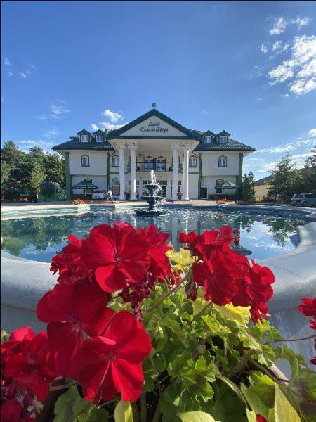 Dwor Czarneckiego Hotel Porosly Bagian luar foto